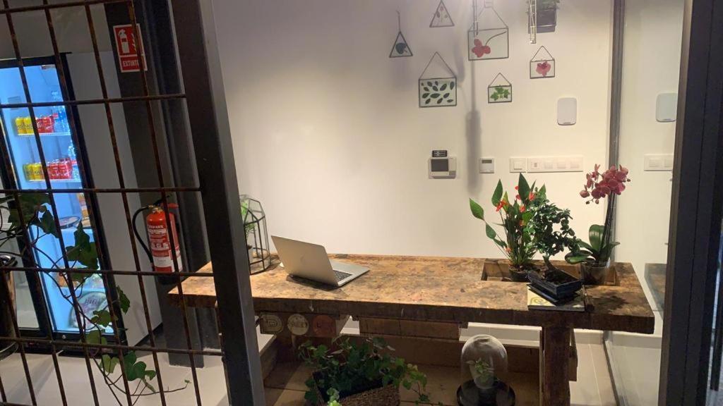 Vtz The Botanic Hostel Σαραγόσα Εξωτερικό φωτογραφία