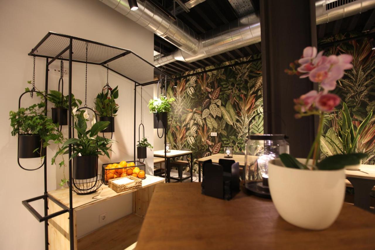 Vtz The Botanic Hostel Σαραγόσα Εξωτερικό φωτογραφία